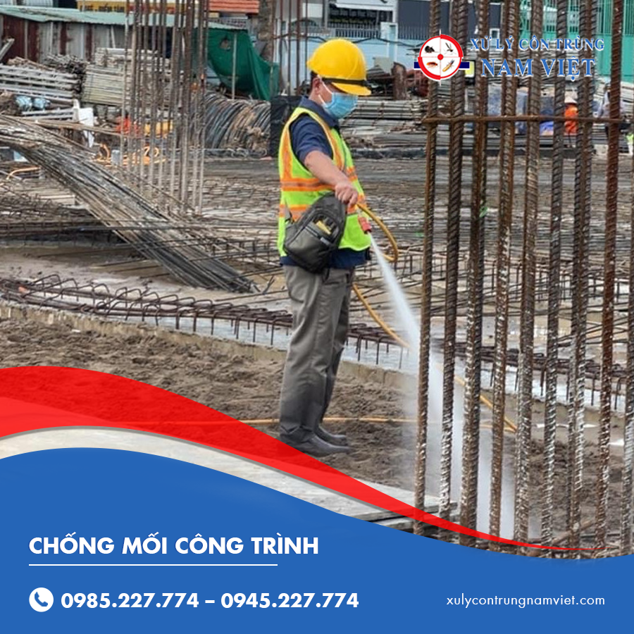 chống mối công trình
