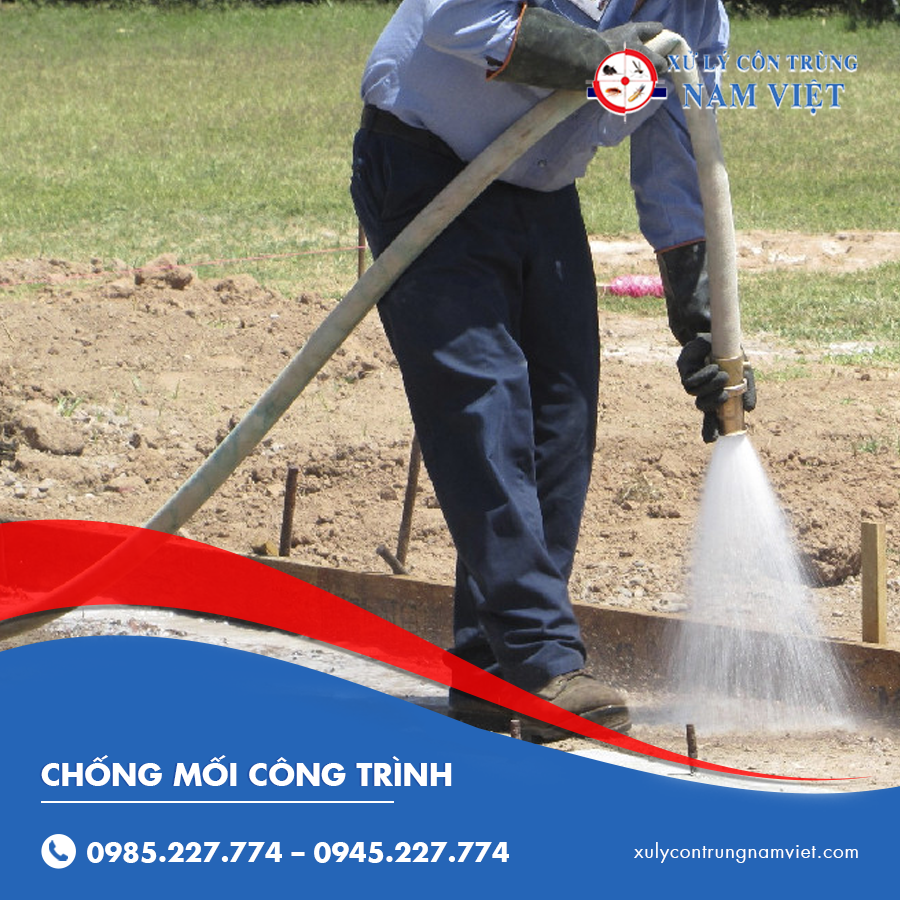 Dịch vụ chống mối công trình uy tín chuyên nghiệp
