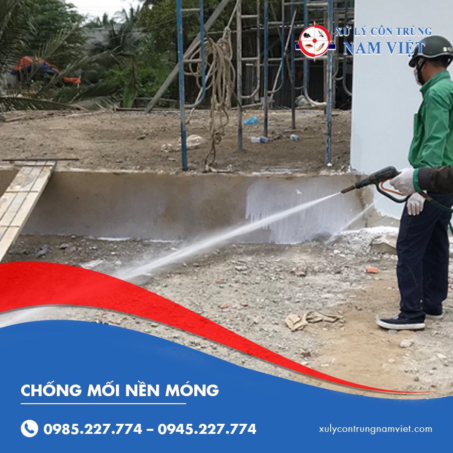 chống mối nền móng