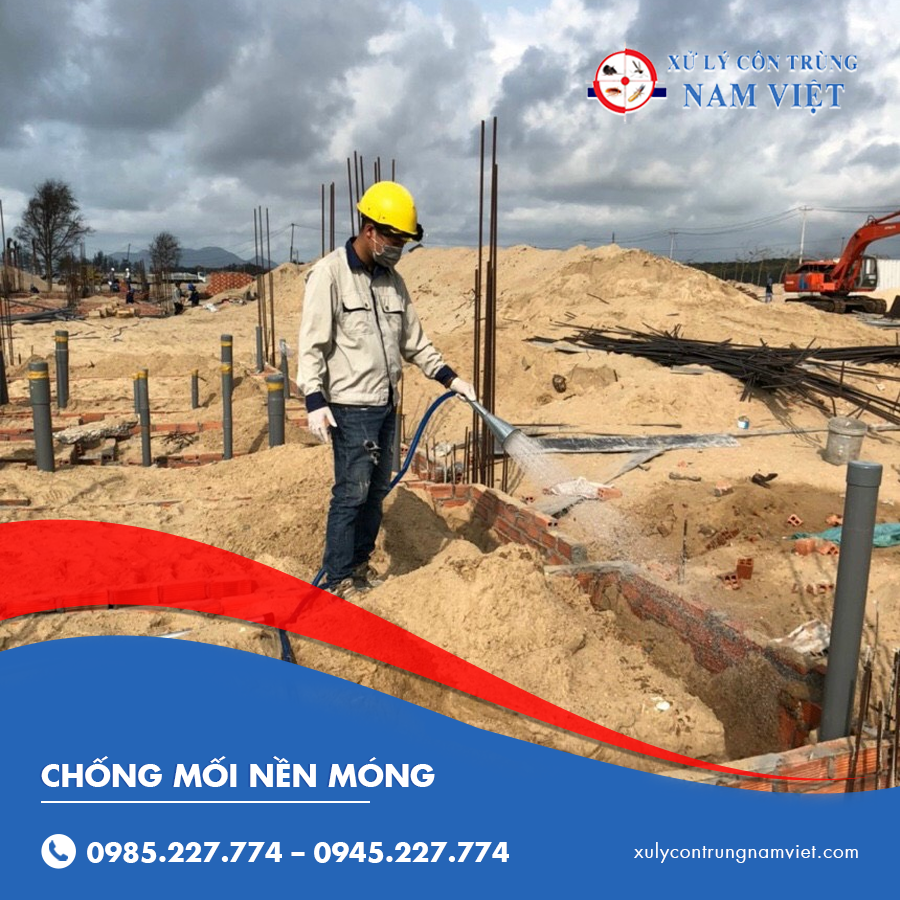 chống mối nền móng