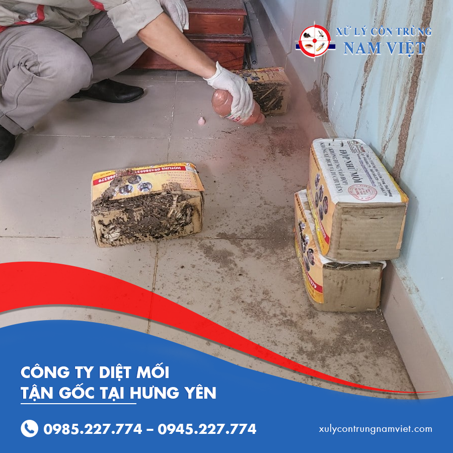 công ty diệt mối tận gốc tại Hưng Yên