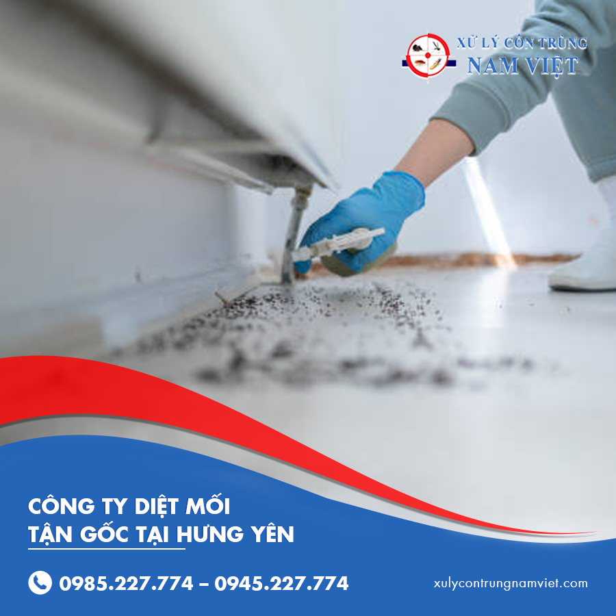 công ty diệt mối tận gốc tại Hưng Yên