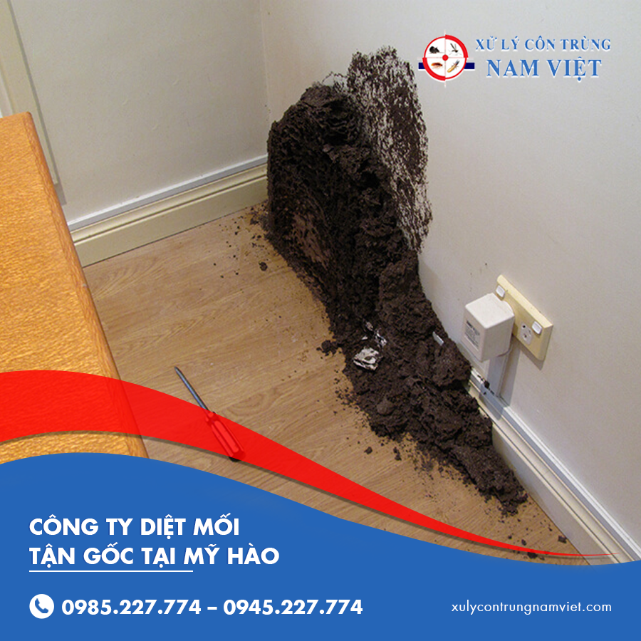 công ty diệt mối tận gốc tại Mỹ Hào