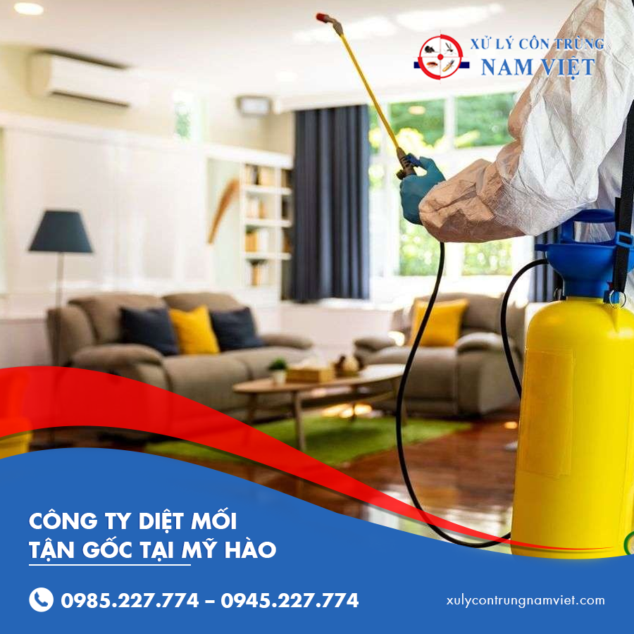 công ty diệt mối tận gốc tại Mỹ Hào