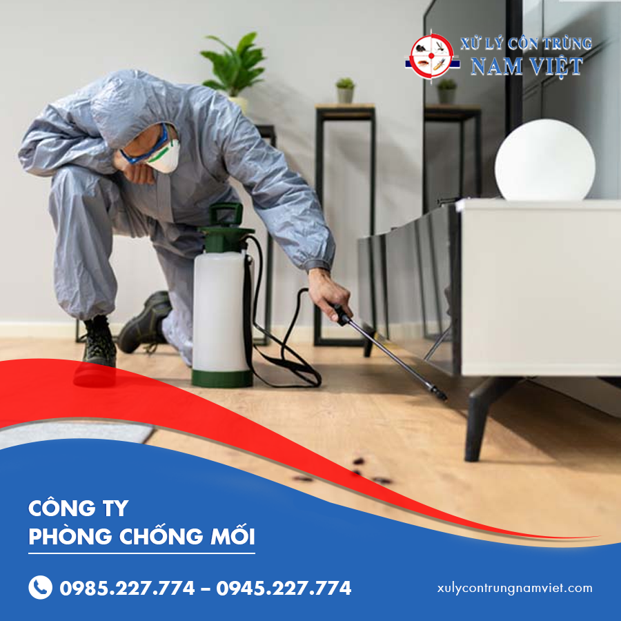 công ty phòng chống mối