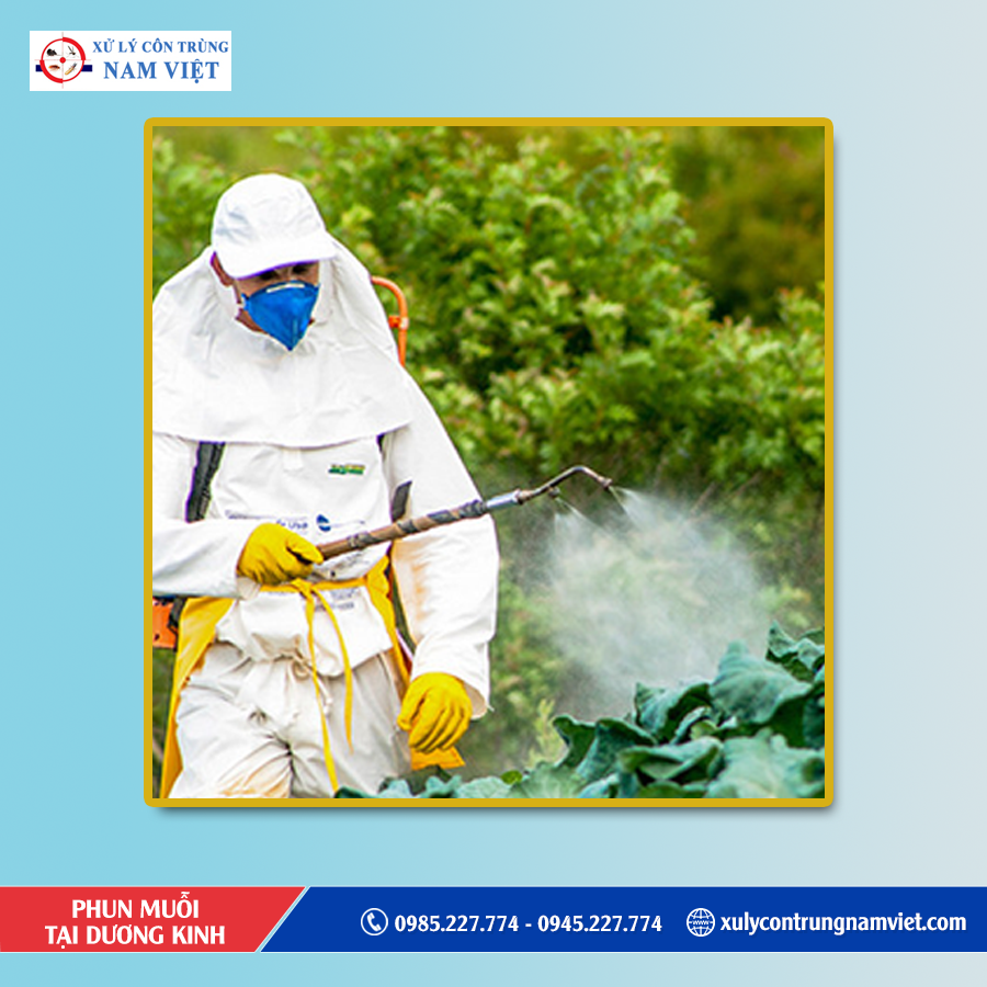 Dịch vụ diệt muỗi tại Dương Kinh chuyên nghiệp