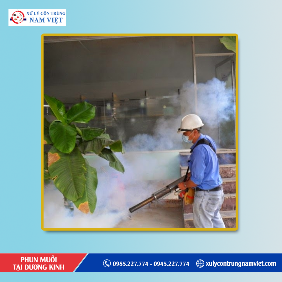 Dịch vụ diệt muỗi tại Dương Kinh giá tốt nhất