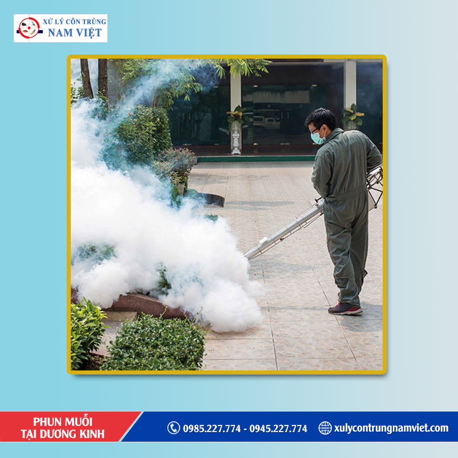 Dịch vụ diệt muỗi tại Dương Kinh uy tín