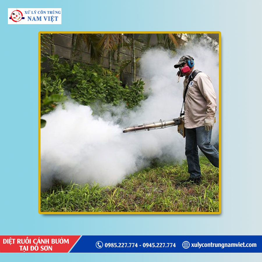 Dịch vụ diệt ruồi cánh bướm tại Đồ Sơn uy tín