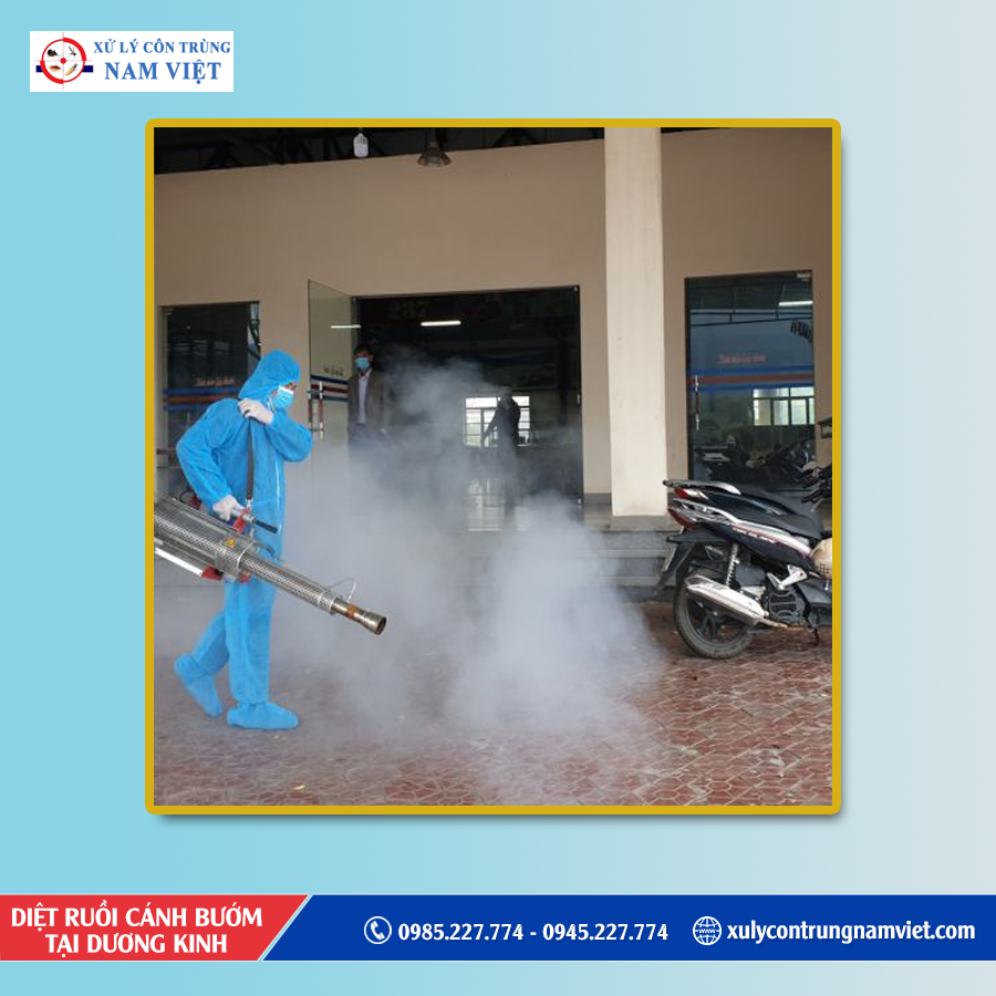 Dịch vụ diệt ruồi cánh bướm tại Dương Kinh giá tốt