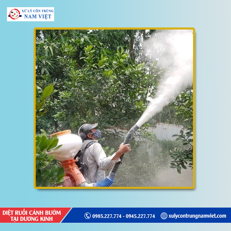 Báo giá dịch vụ diệt ruồi cánh bướm tại Dương Kinh