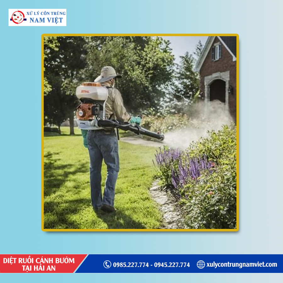 Dịch vụ diệt ruồi cánh bướm tại Hải An uy tín
