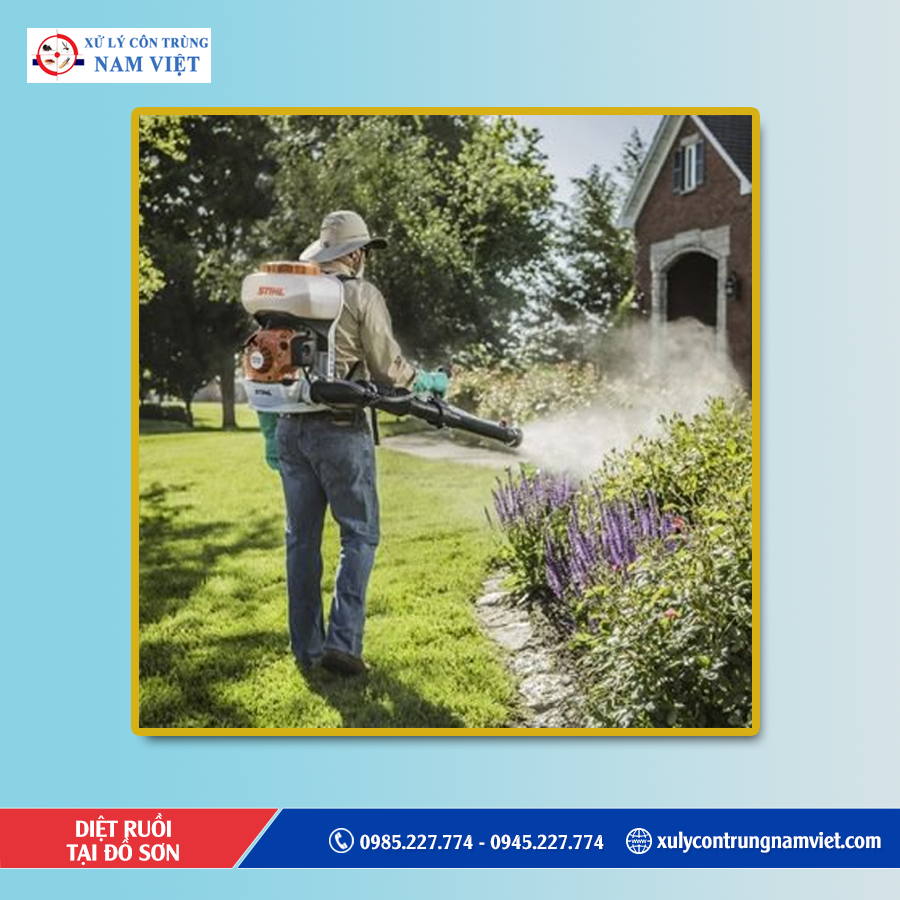 Dịch vụ diệt ruồi tại Đồ Sơn uy tín