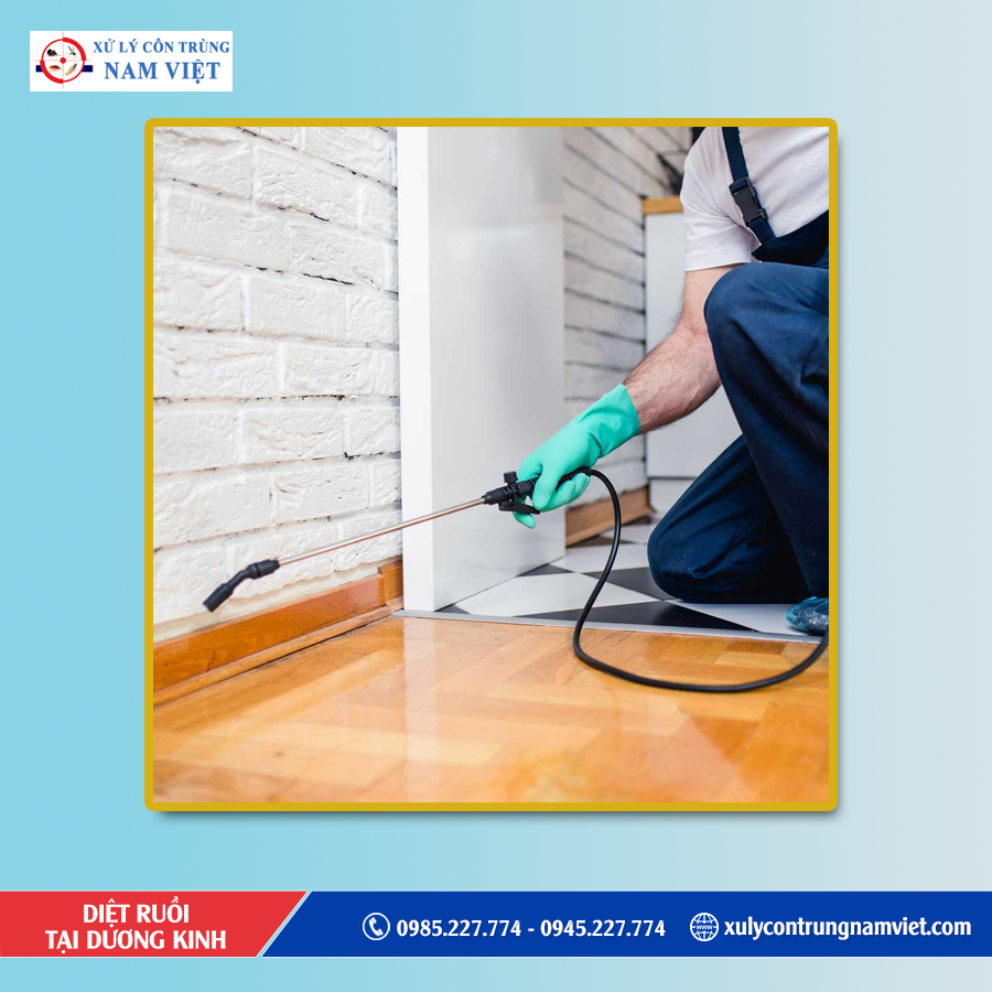 Dịch vụ diệt ruồi tại Dương Kinh chuyên nghiệp