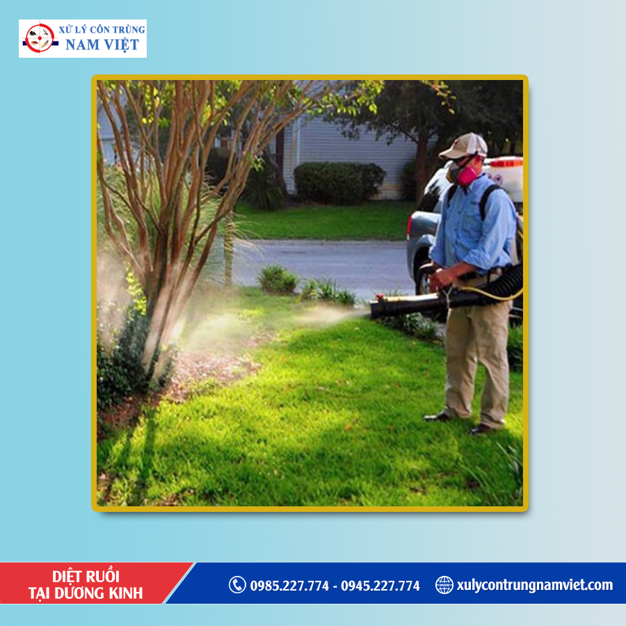 Dịch vụ diệt ruồi tại Dương Kinh uy tín