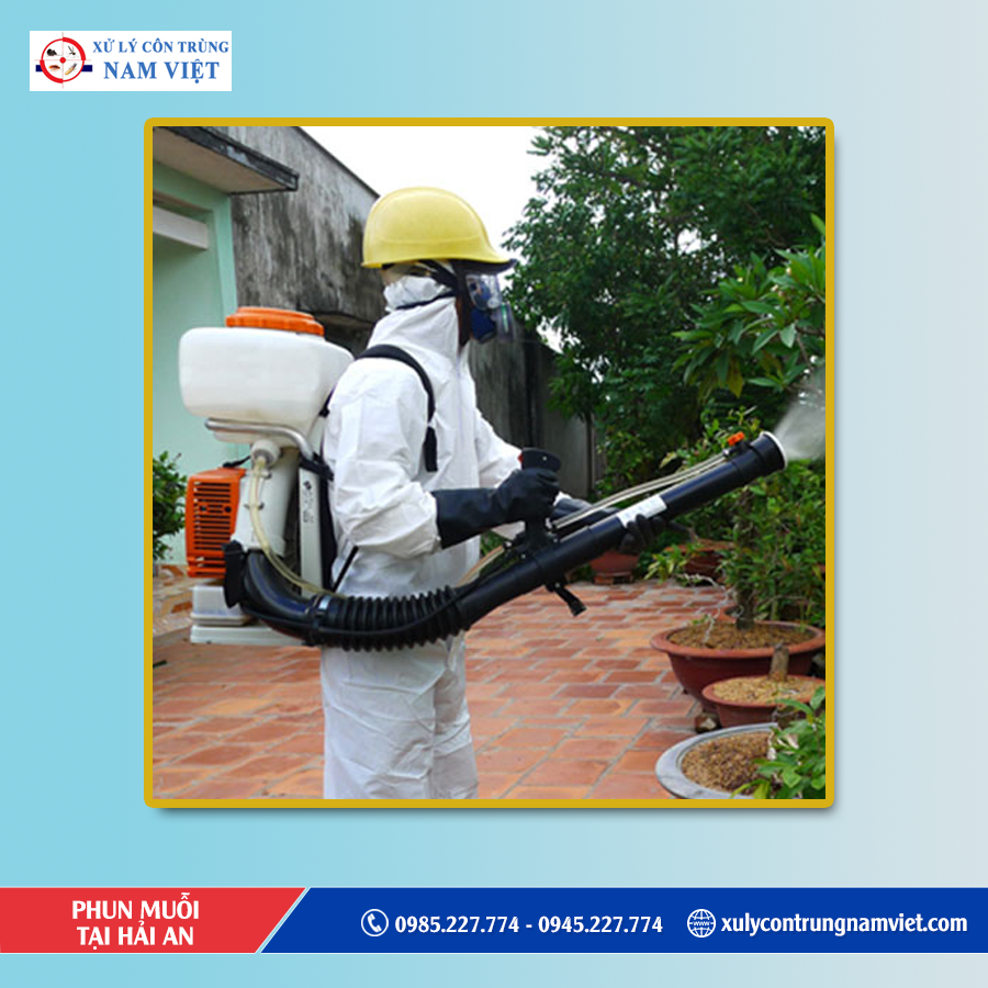 Dịch vụ phun muỗi tại Hải An chuyên nghiệp