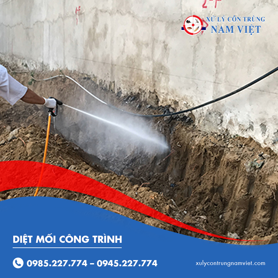 Diệt mối công trình chất lượng