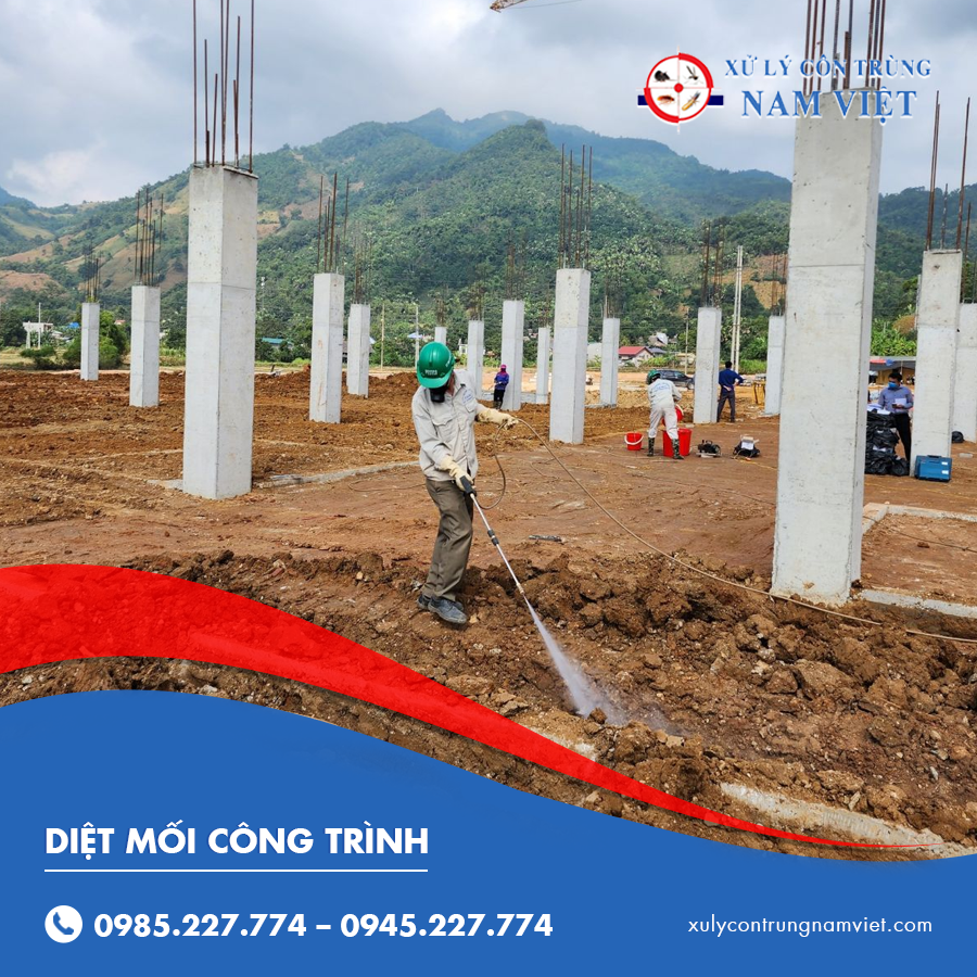 Diệt mối công trình chuyên nghiệp