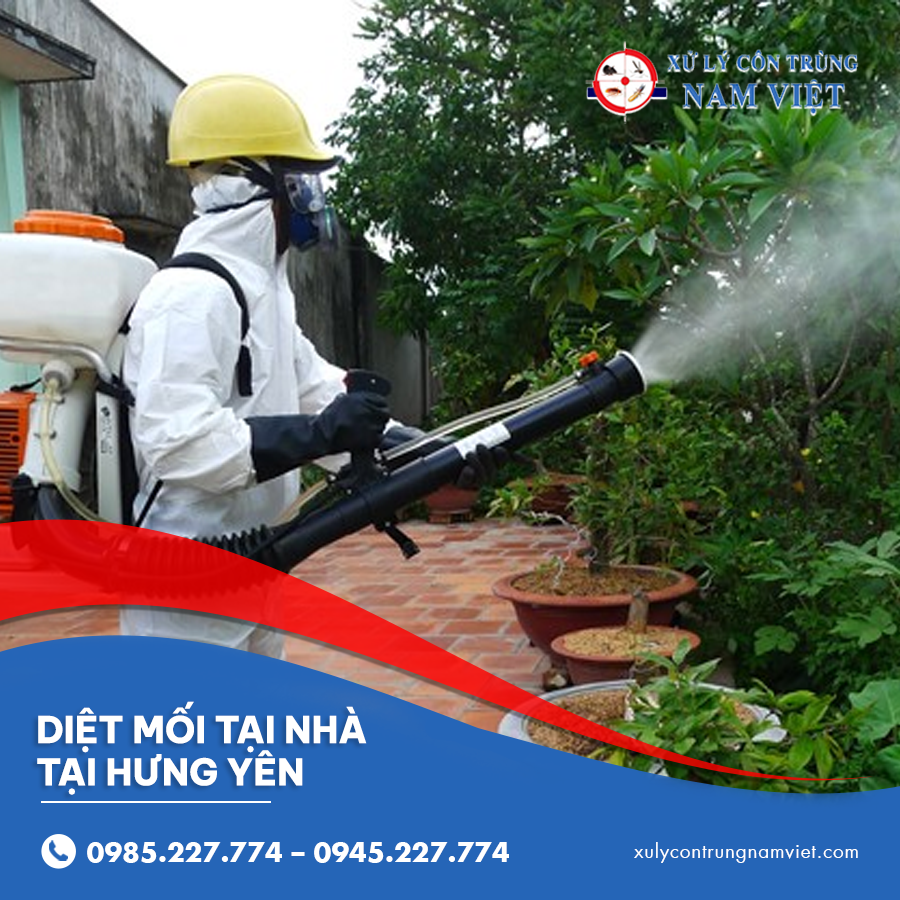 diệt mối tại nhà tại Hưng Yên