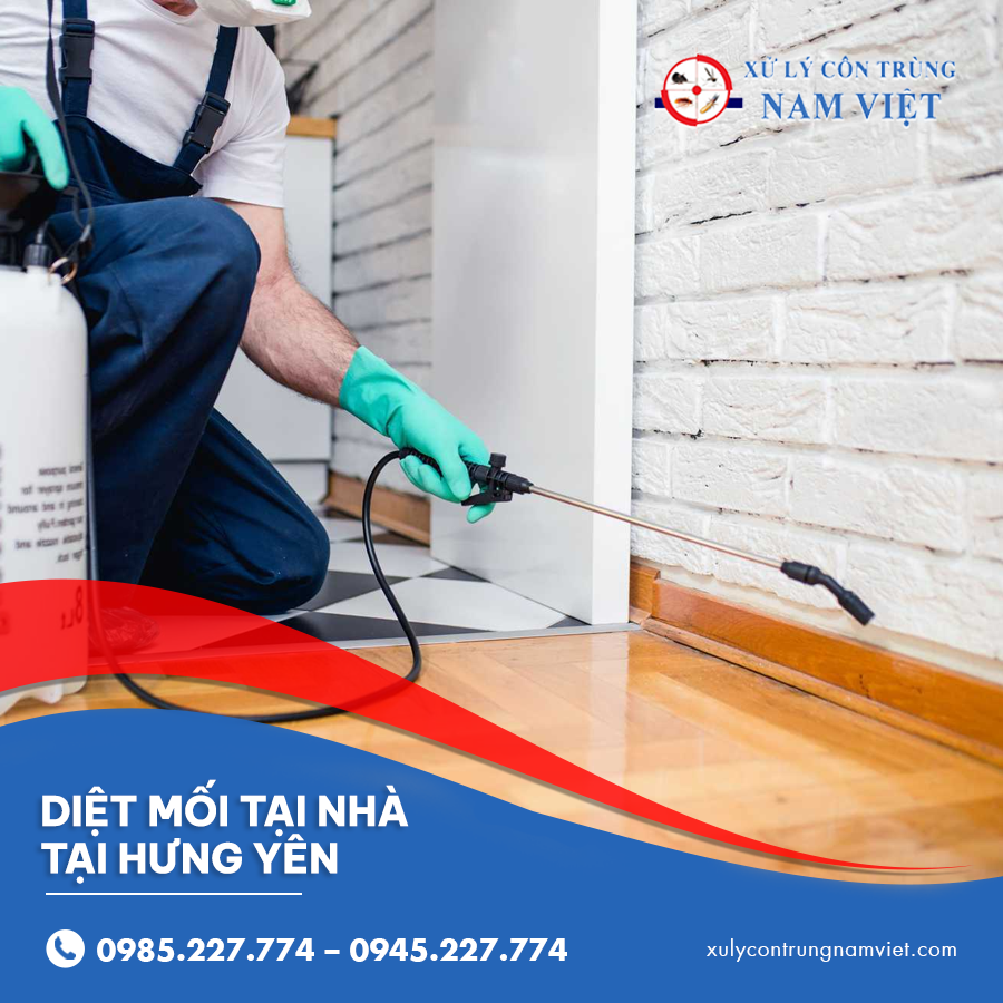 diệt mối tại nhà tại Hưng Yên