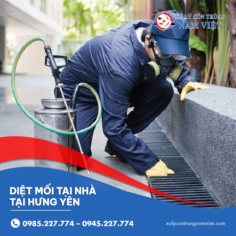 diệt mối tại nhà tại Hưng Yên