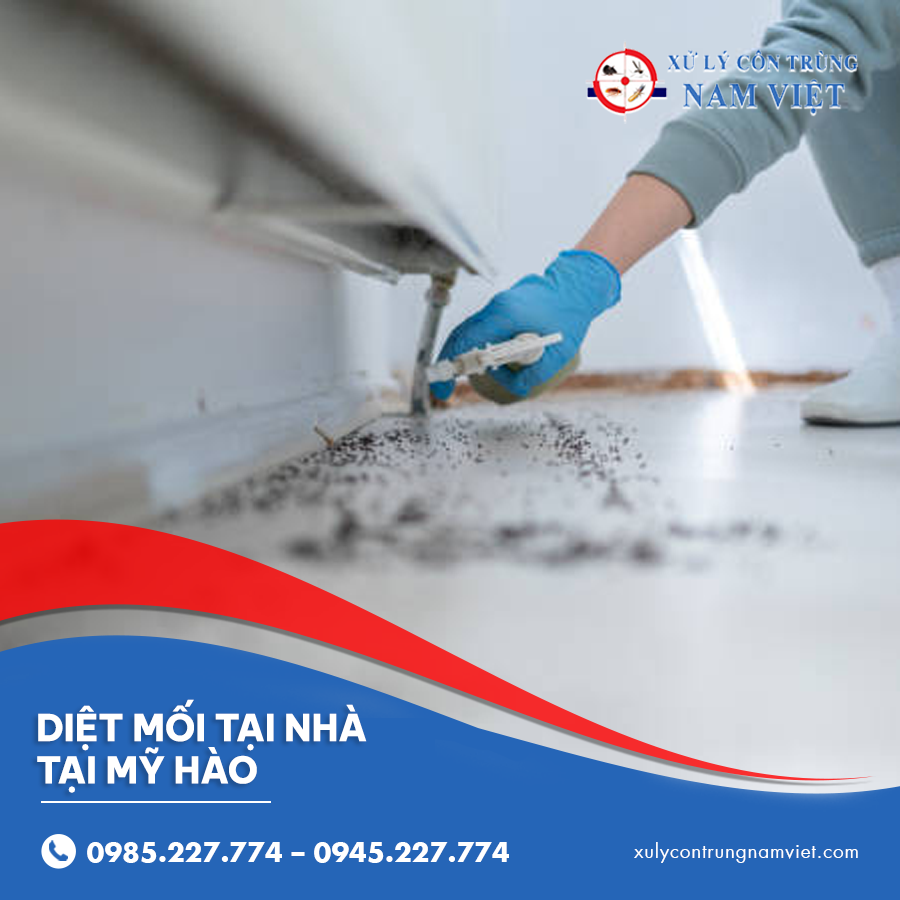 diệt mối tại nhà tại Mỹ Hào