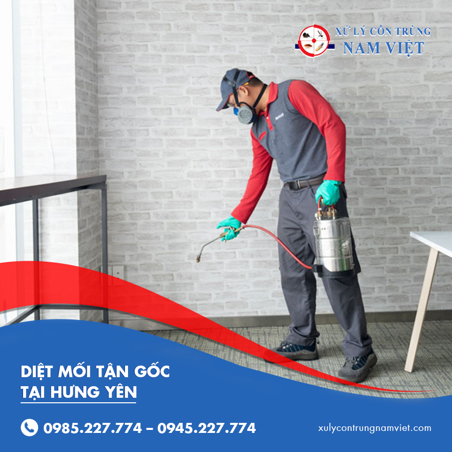 diệt mối tận gốc tại Hưng Yên