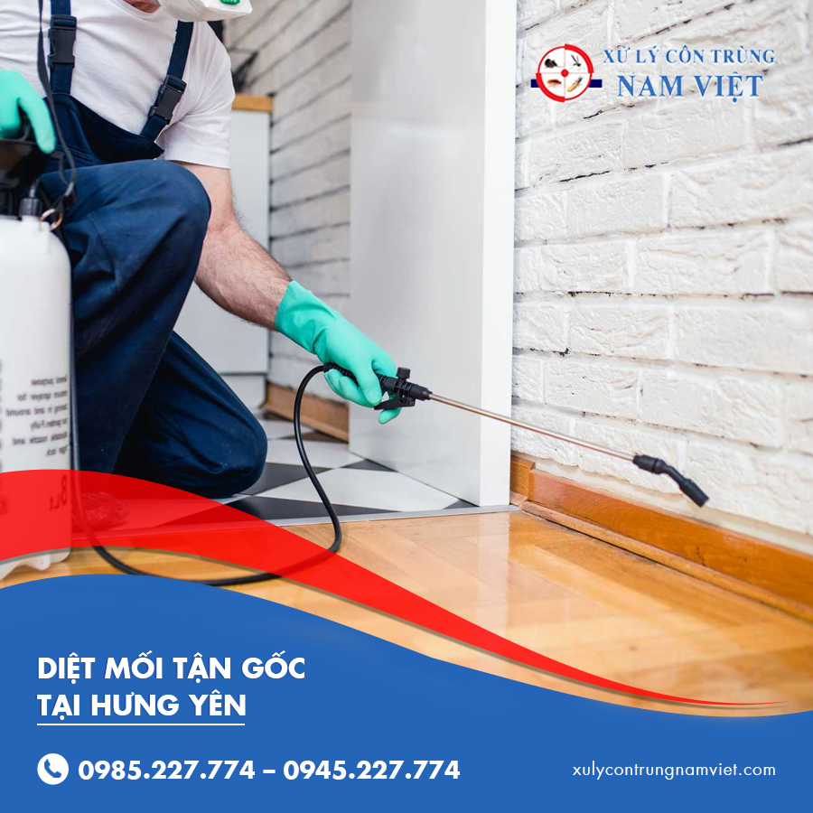 diệt mối tận gốc tại Hưng Yên