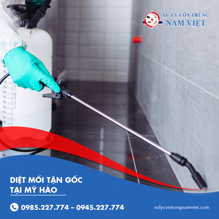 diệt mối tận gốc tại Mỹ Hào