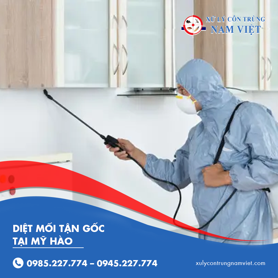 diệt mối tận gốc tại Mỹ Hào
