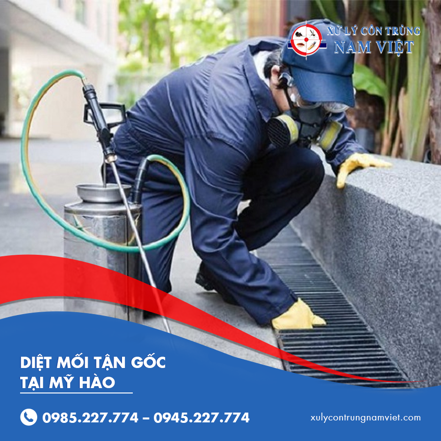 diệt mối tận gốc tại Mỹ Hào