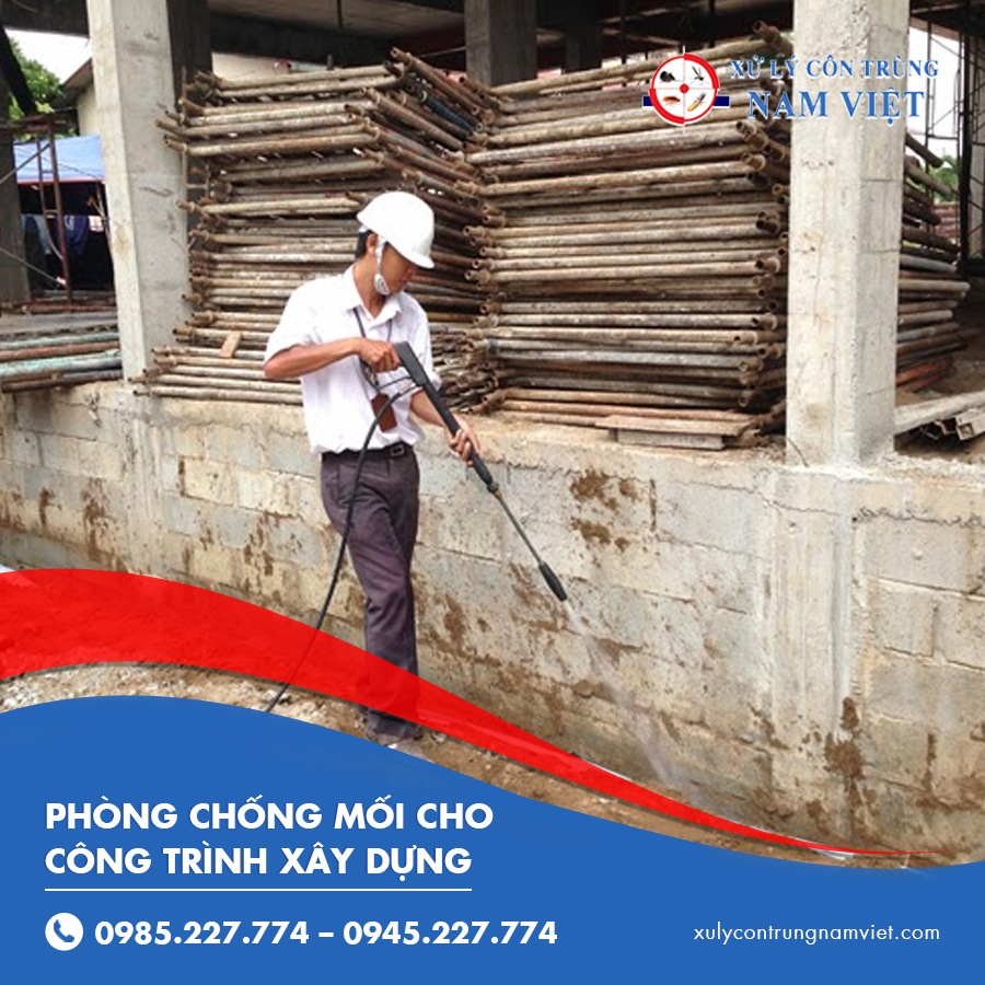 Công ty phun phòng chống mối cho công trình xây dựng uy tín