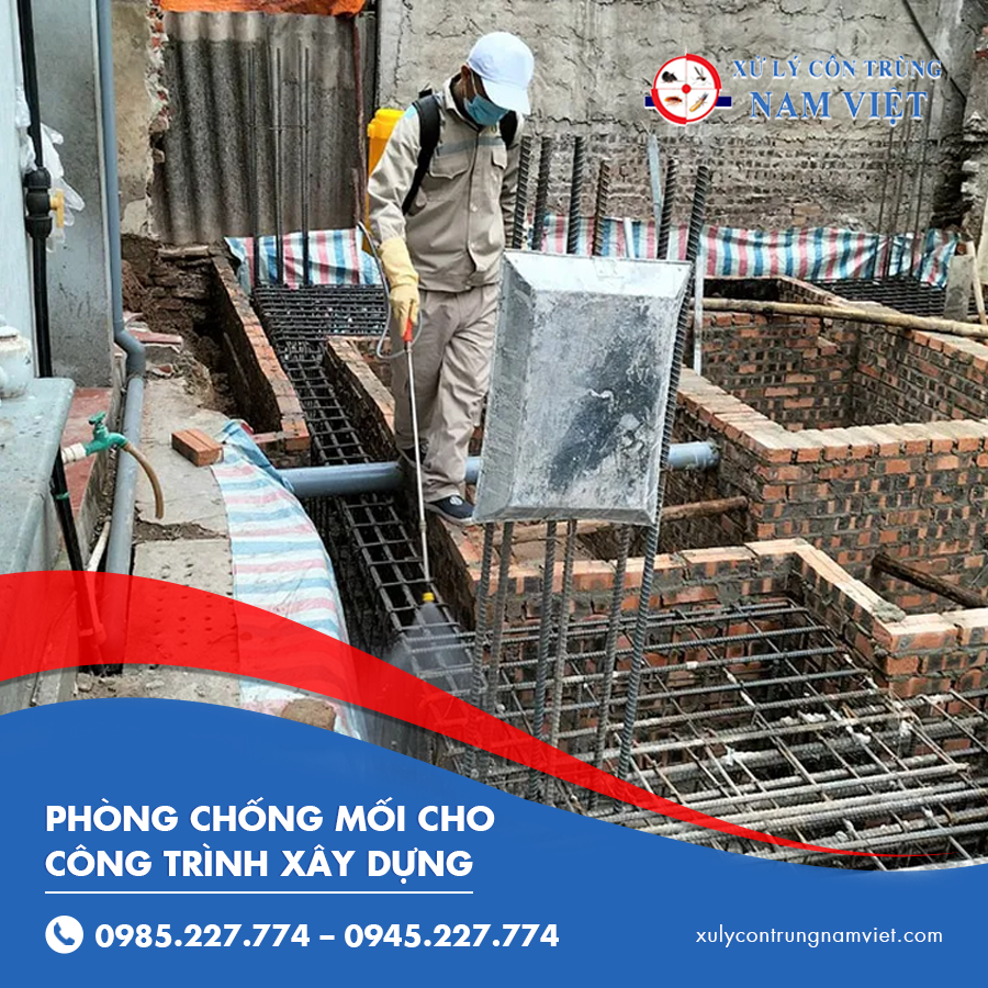 Phòng chống mối cho công trình xây dựng chuyên nghiệp giá tốt nhất