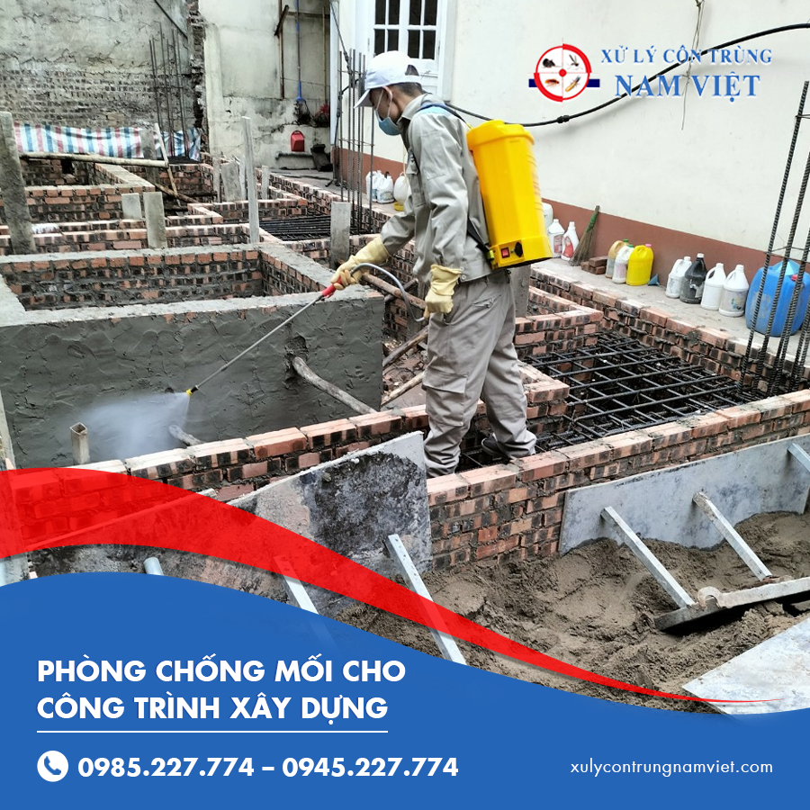 Dịch vụ phòng chống mối cho công trình xây dựng