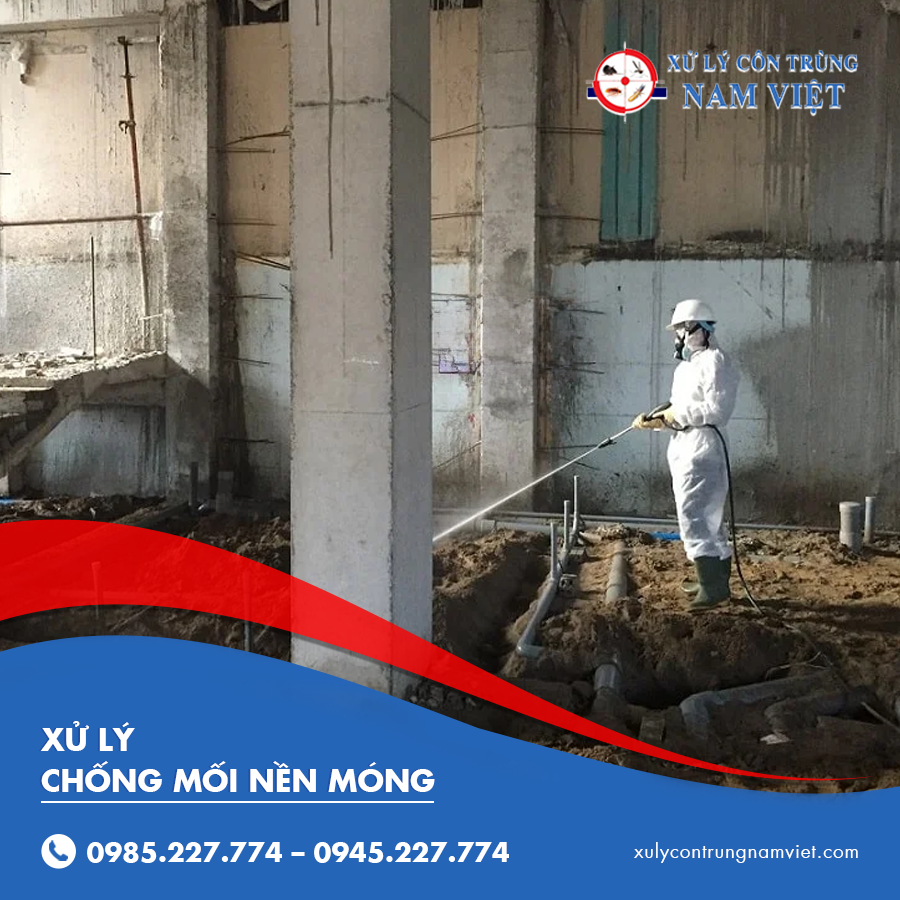 xử lý chống mối nền móng