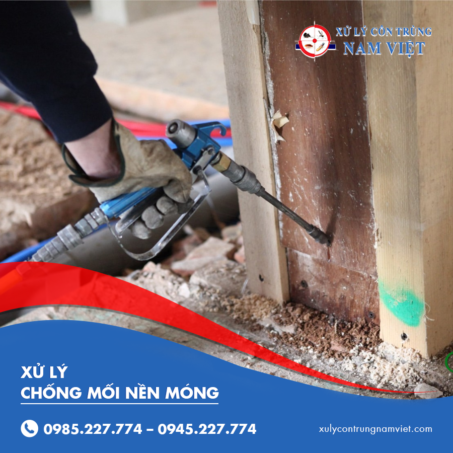 xử lý chống mối nền móng