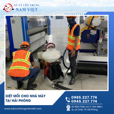 Diệt mối nhà máy tại Hải Phòng