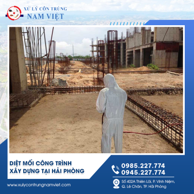 Xử lý mối công trình xây dựng tại Hải Phòng