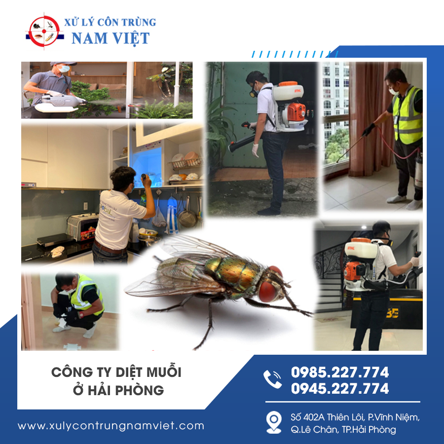 Công ty diệt muỗi chuyên nghiệp phun thuốc diệt muỗi tại nhà dân Công ty diệt muỗi chuyên nghiệp phun thuốc diệt muỗi tại nhà dân