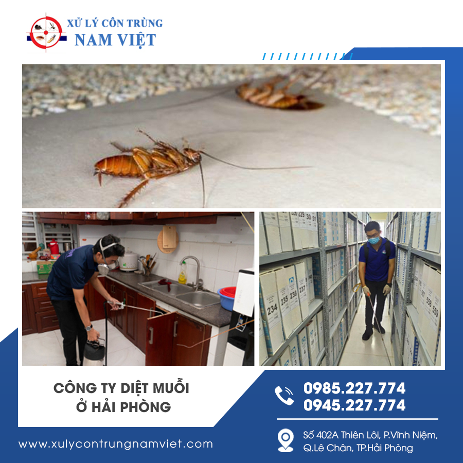 Kỹ thuật viên diệt muỗi sử dụng máy phun sương Kỹ thuật viên diệt muỗi sử dụng máy phun sương