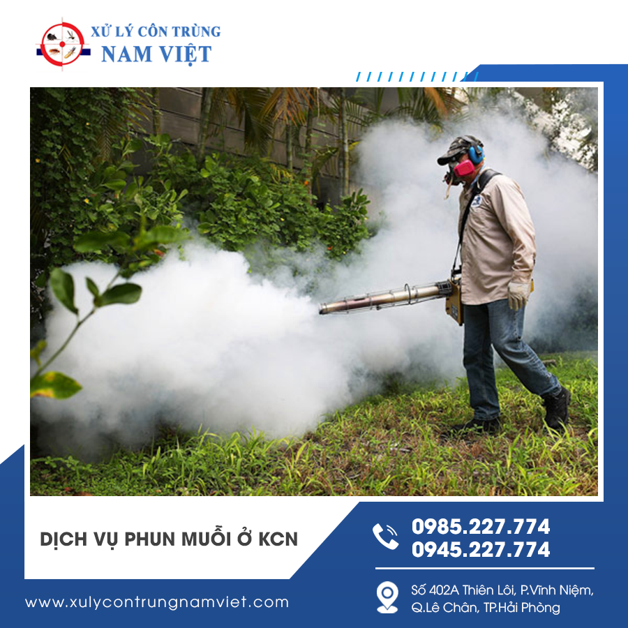 Phun muỗi định kỳ tại các khu vực chứa nước đọng trong khu công nghiệp Phun muỗi định kỳ tại các khu vực chứa nước đọng trong khu công nghiệp