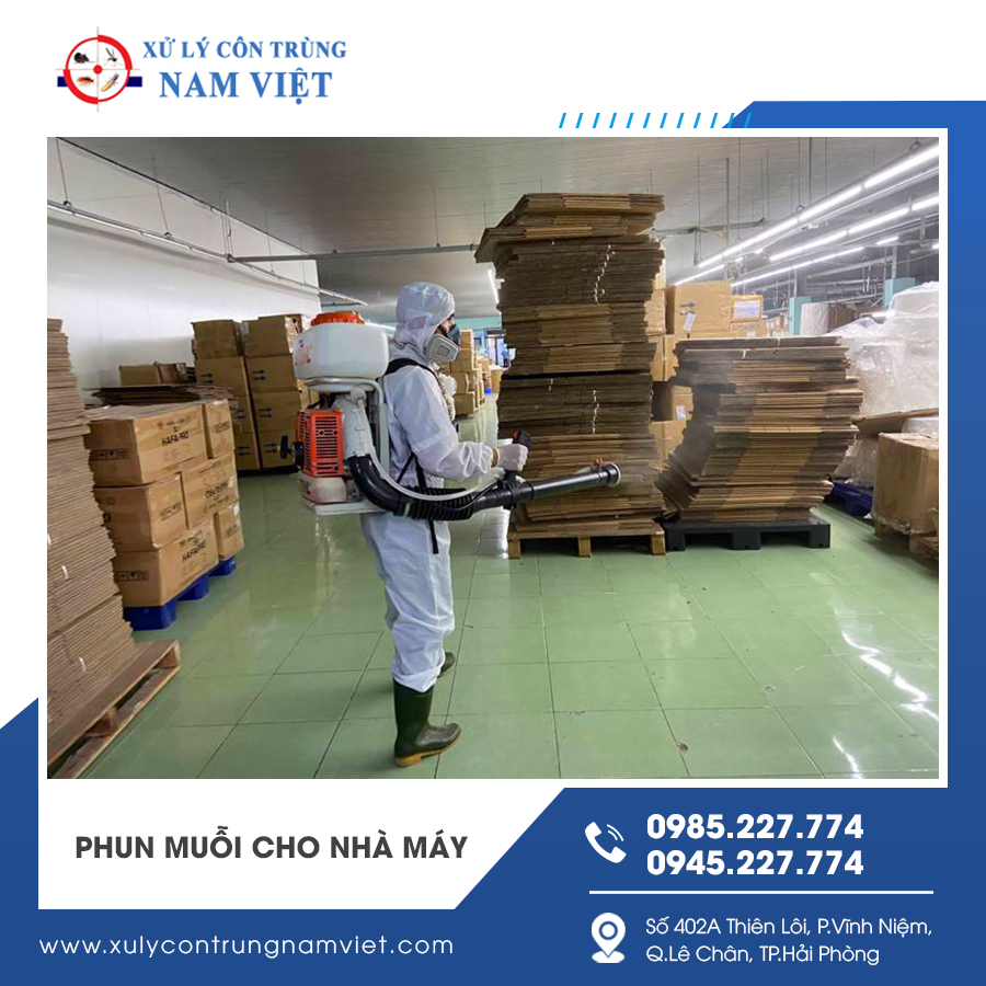 Phun muỗi tại khu vực kho hàng trong nhà máy